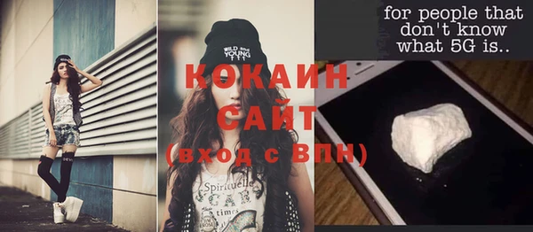 тгк Инсар