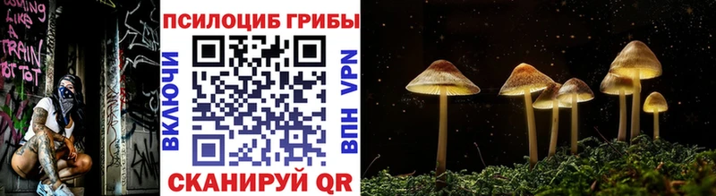 Псилоцибиновые грибы прущие грибы  Балашов 