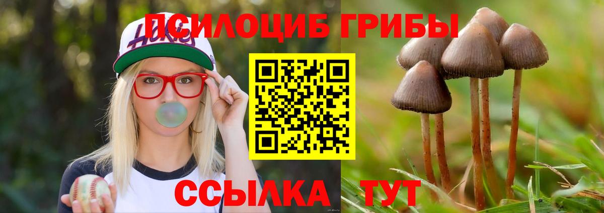 Галлюциногенные грибы ЛСД Балашов